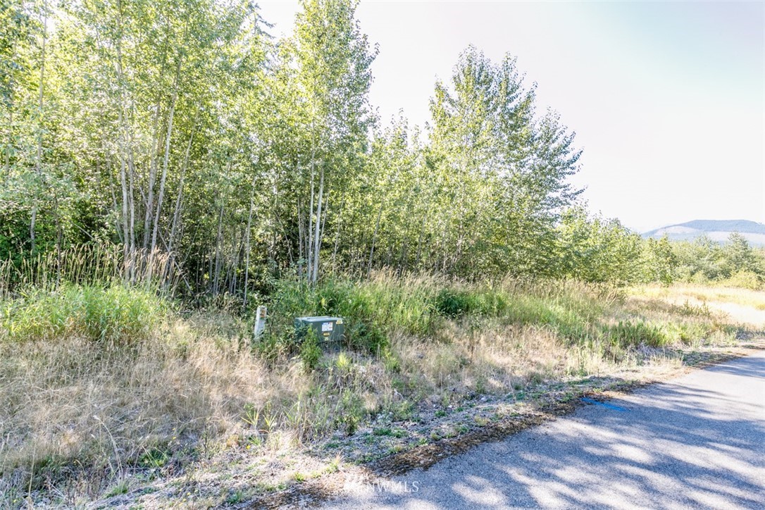 9999 Grand Ridge Way, Unit LOT 9 Port Angeles, WA 98362 - Photo 20 of 30 Gallery Image 20