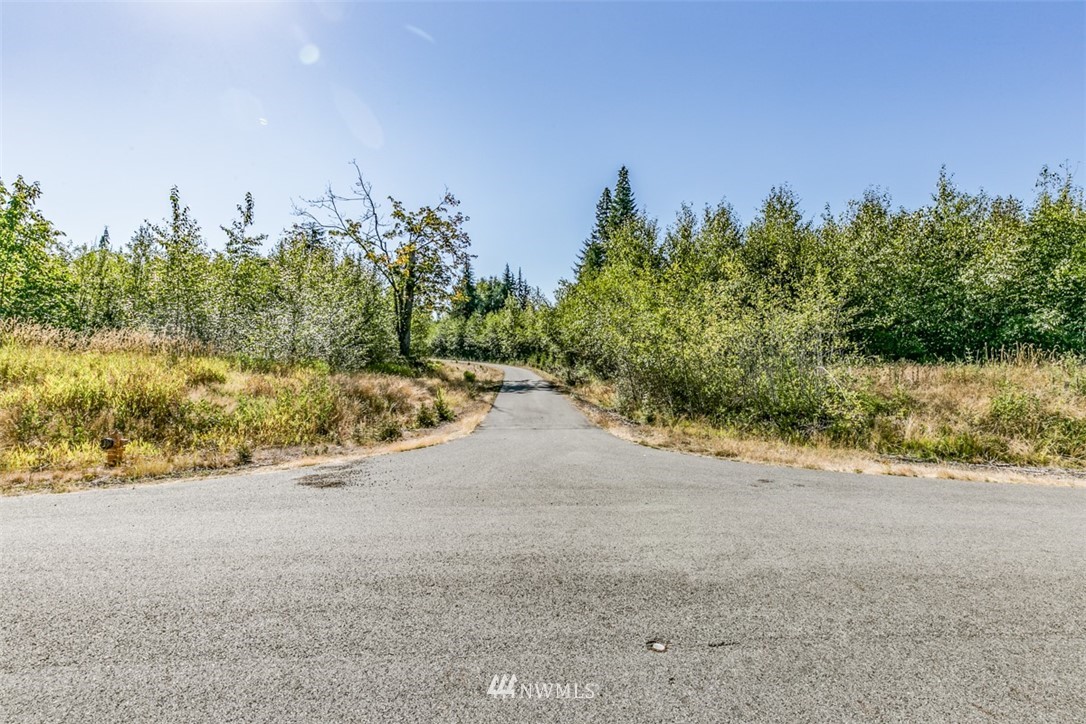 9999 Grand Ridge Way, Unit LOT 9 Port Angeles, WA 98362 - Photo 3 of 30 Gallery Image 3