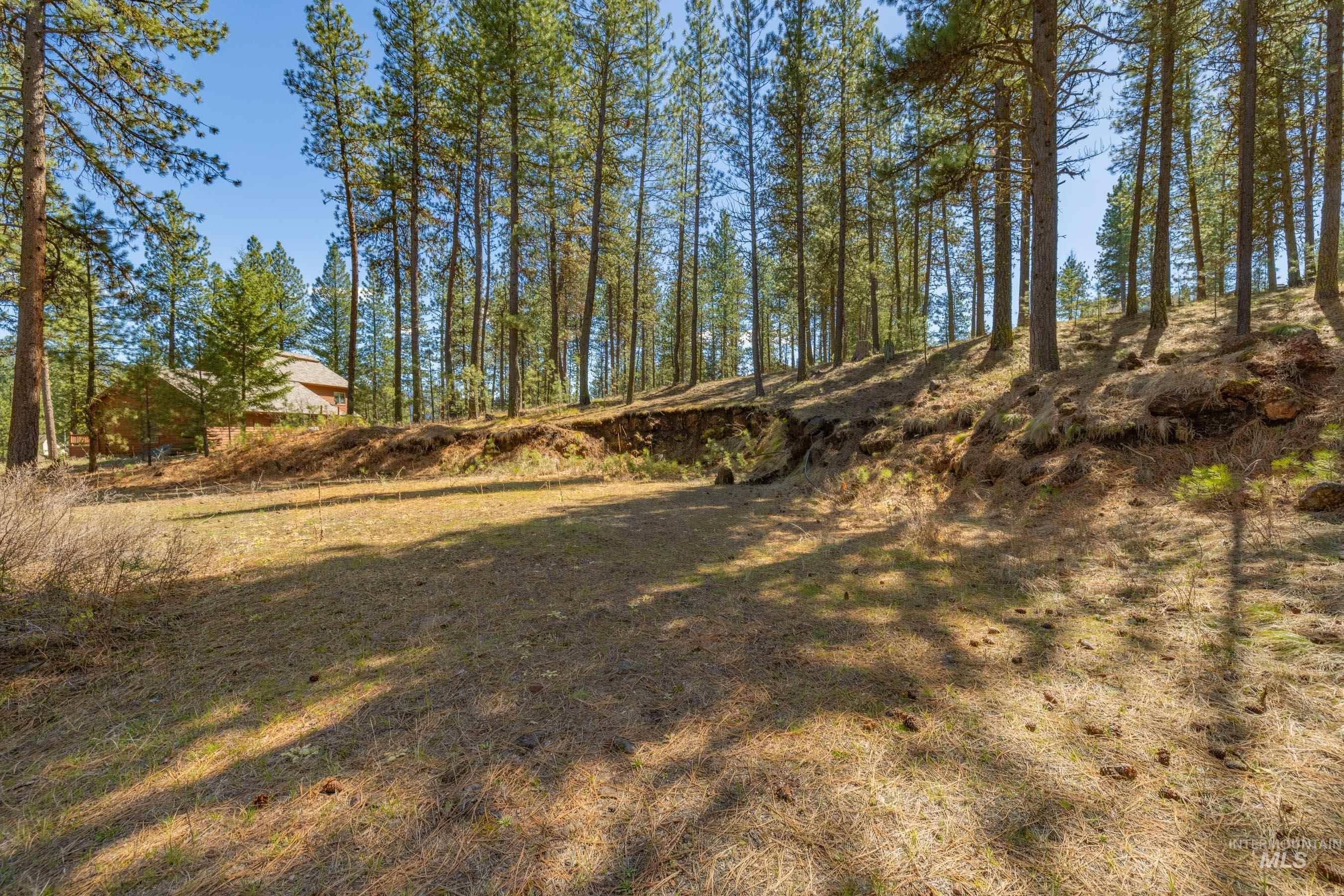 Lot 27 Hot Springs Road New Meadows, ID 83654 - Photo 4 of 23
