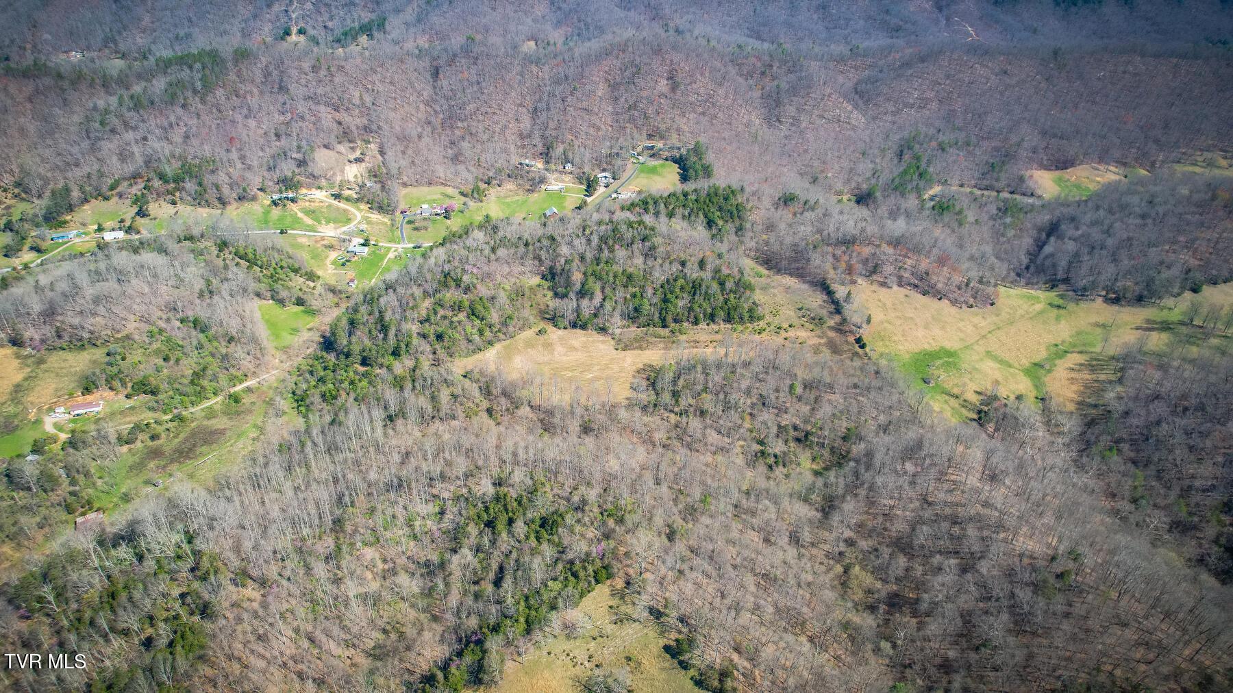 Tbd Ivy Valley Road Gate City, VA 24251 - Photo 6 of 12 20230331160030525208000000-o