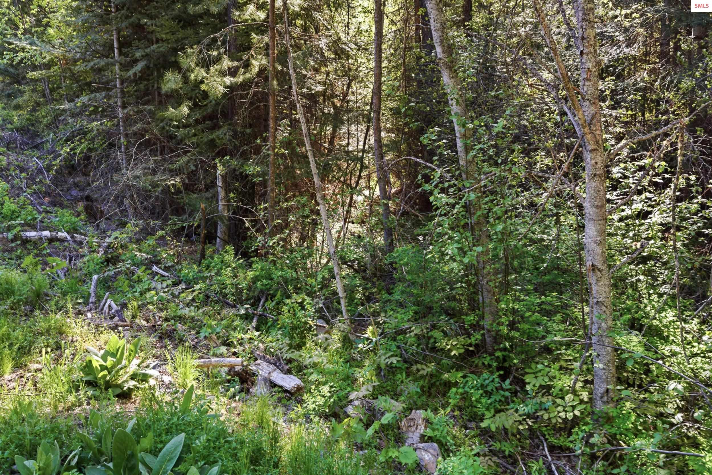 Nka Nka Stone Road Blanchard, ID 83804 - Photo 28 of 29 Gallery Image 28