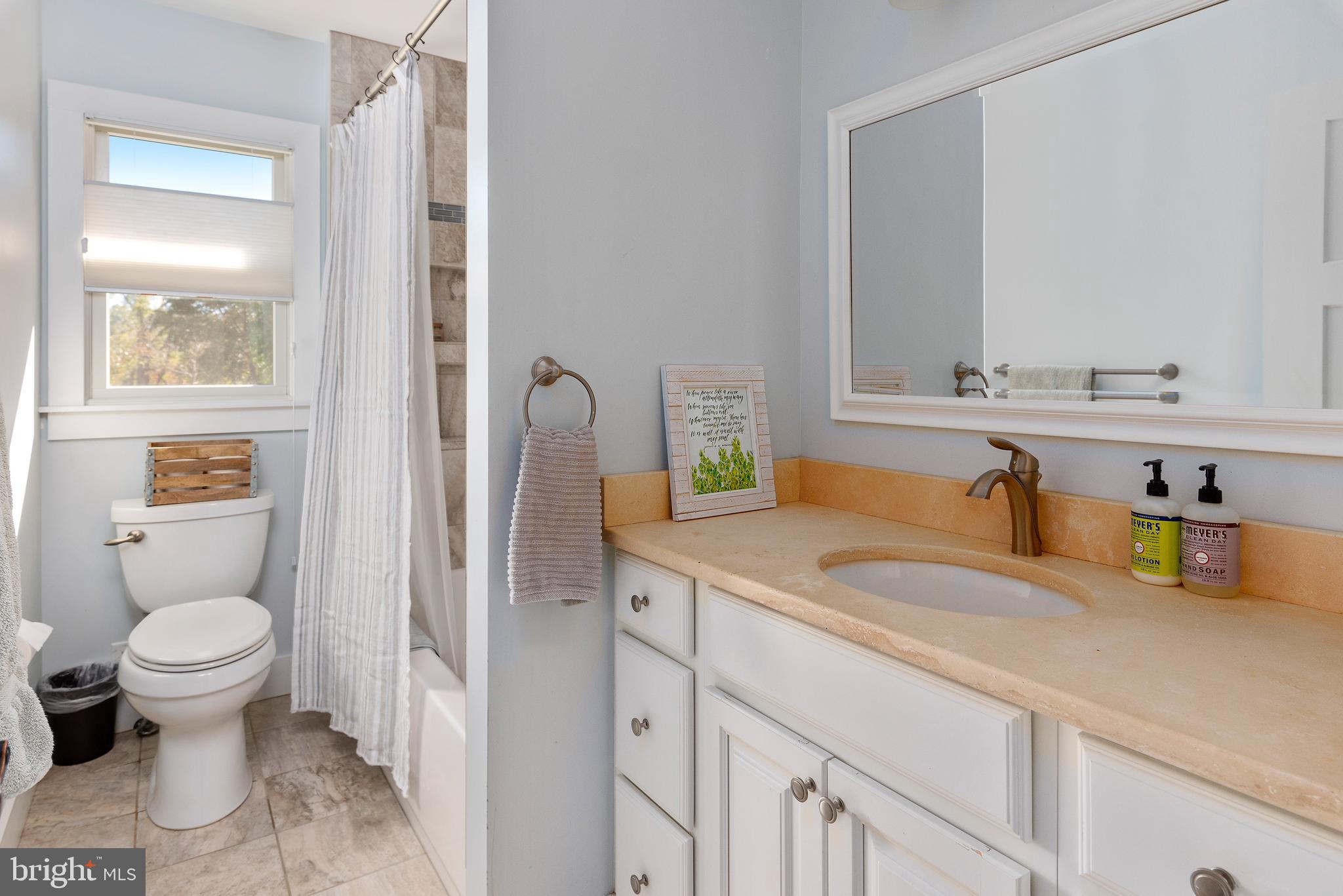 602 Old Point Road Chester, MD 21619 - Photo 26 of 51 a bathroom with a sink and a toilet