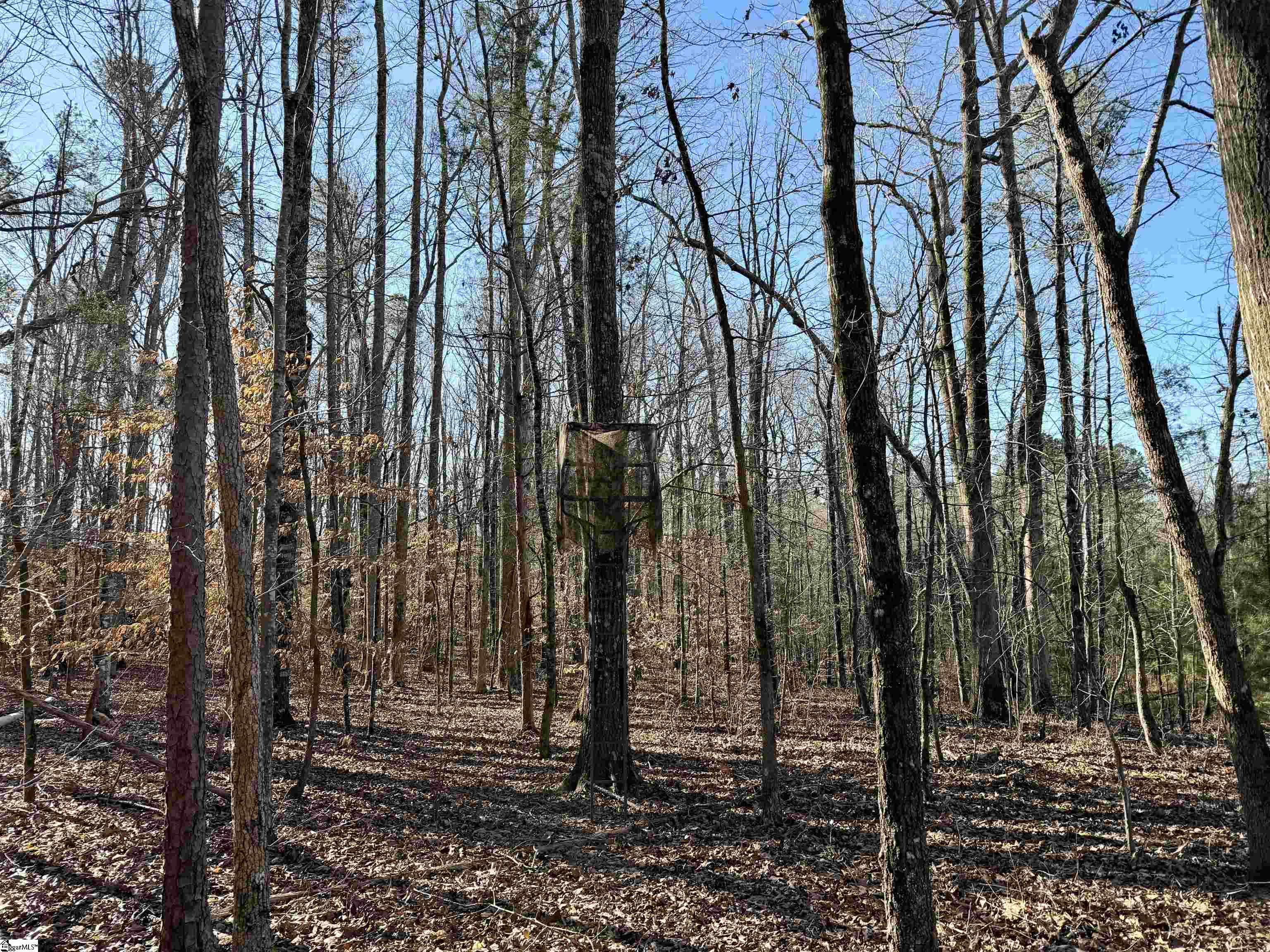 0 Neely Ferry Road Laurens, SC 29360 - Photo 14 of 24 Gallery Image 14