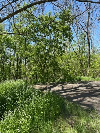 $65,000 | Xxx South Adams Street, St. Croix Falls, WI 54024