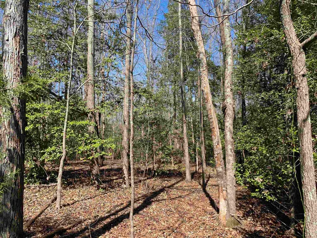 $510,000 | 2559 John Dodd Road, Wellford, SC 29385