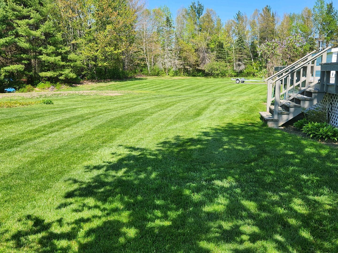415 Center Road Fairfield, ME 04937 - Photo 3 of 33 03. Backyard