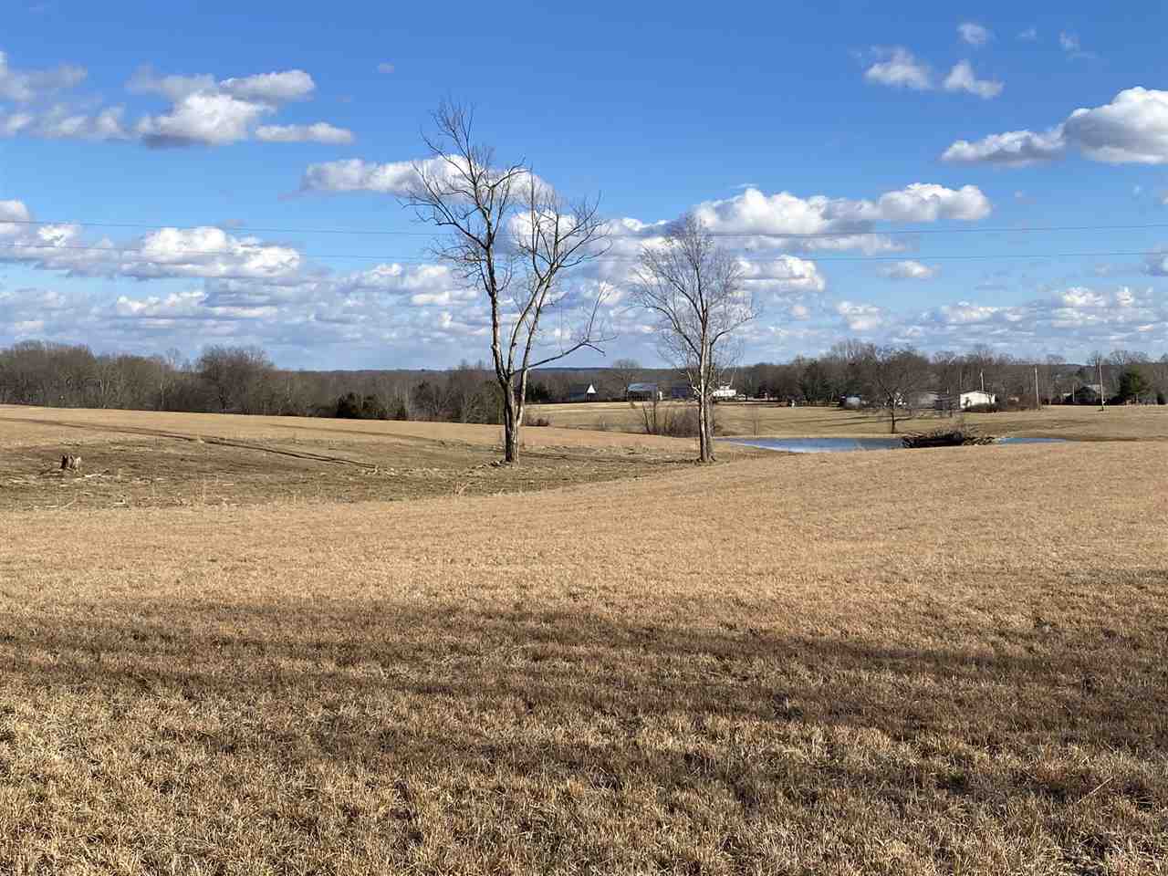 953 Fleet Road Adolphus, KY 42120 - Photo 4 of 6 Gallery Image 4