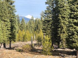 0 Clover Creek Road, Unit 101 Klamath Falls, OR 97601 - Photo 27 of 72