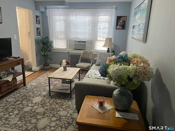 a living room with furniture flowerpot and a window
