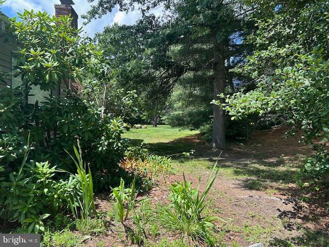 1 Foxborough Court Medford, NJ 08055 - Photo 35 of 40 Back-Yard