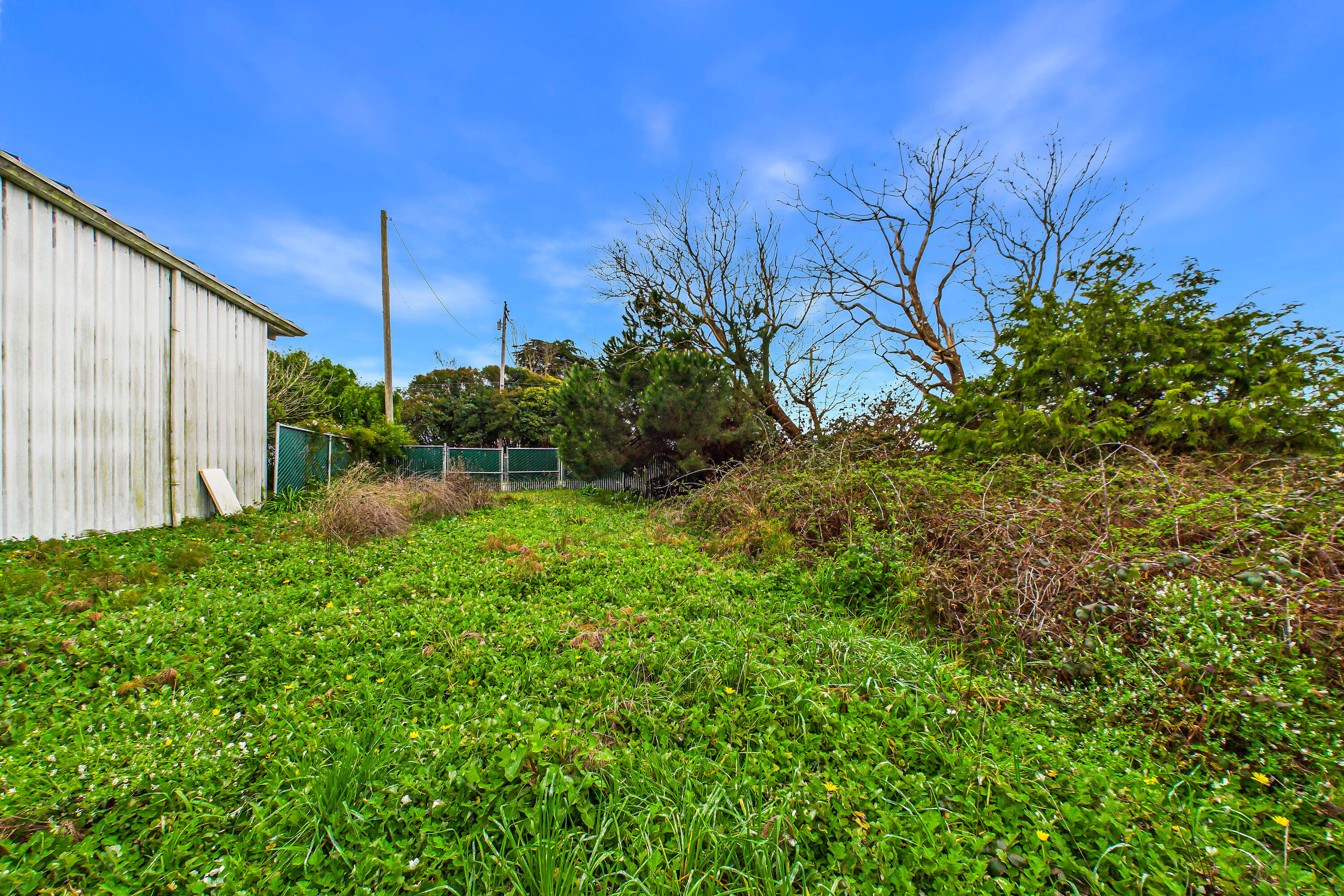 491 H Street Arcata, CA 95521 - Photo 27 of 41