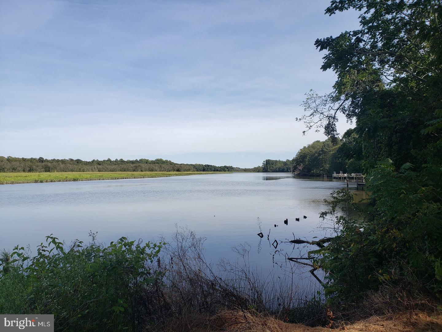 Reese Landing Road Cordova, MD 21625 - Photo 2 of 2 View of the river