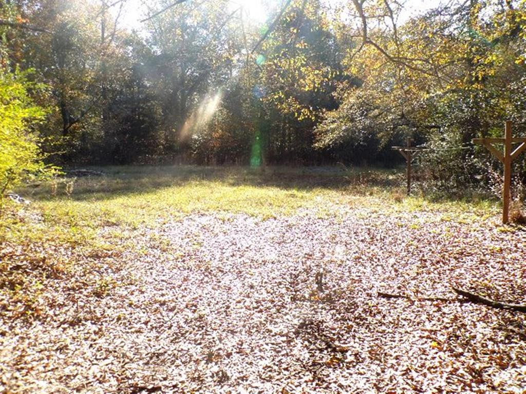1650 Moose Club Road Dearing, GA 30808 - Photo 24 of 28 Backyard view from deck