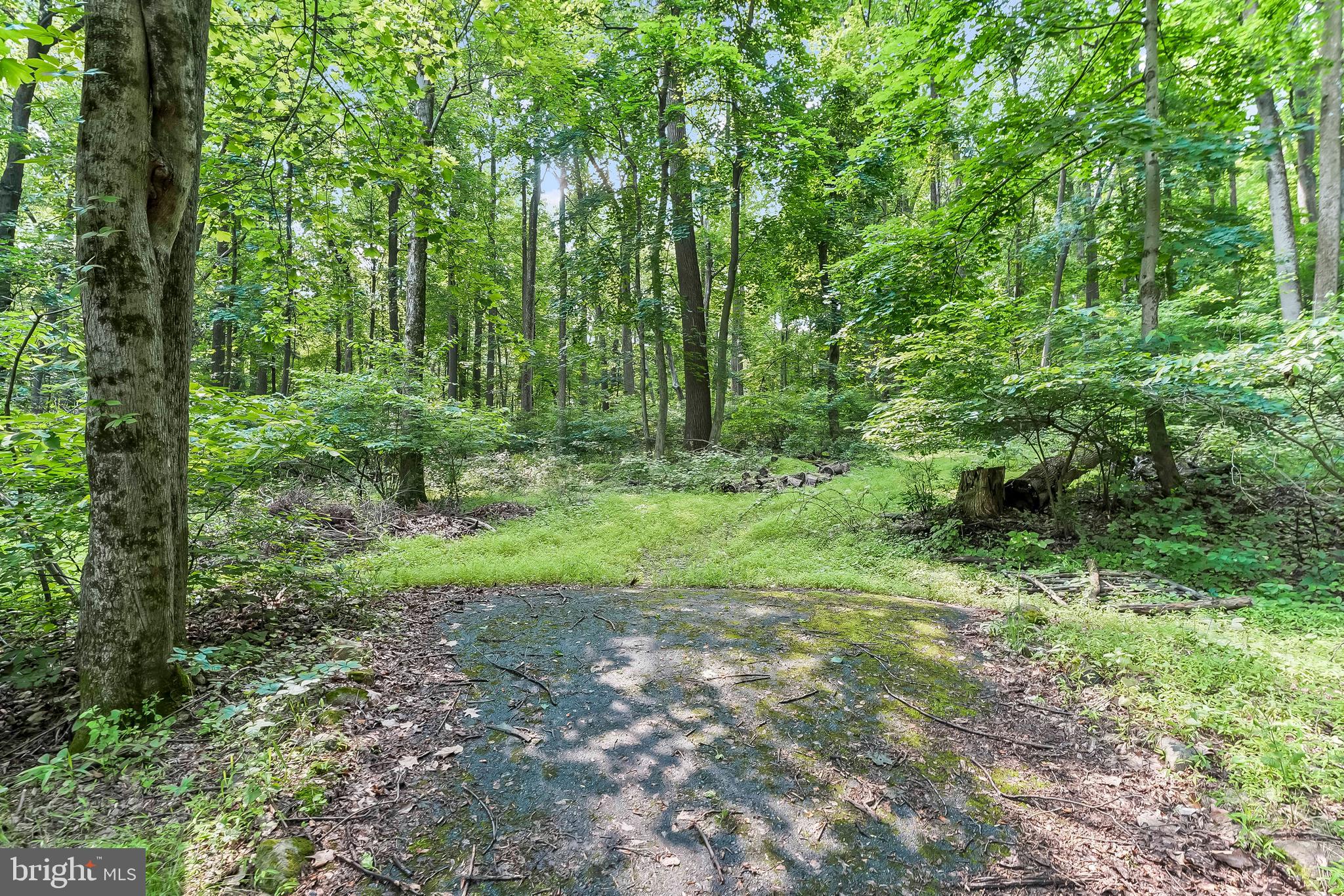 1200 Dunsinane Hill Chester Springs, PA 19425 - Photo 30 of 42 a view of outdoor space and green space