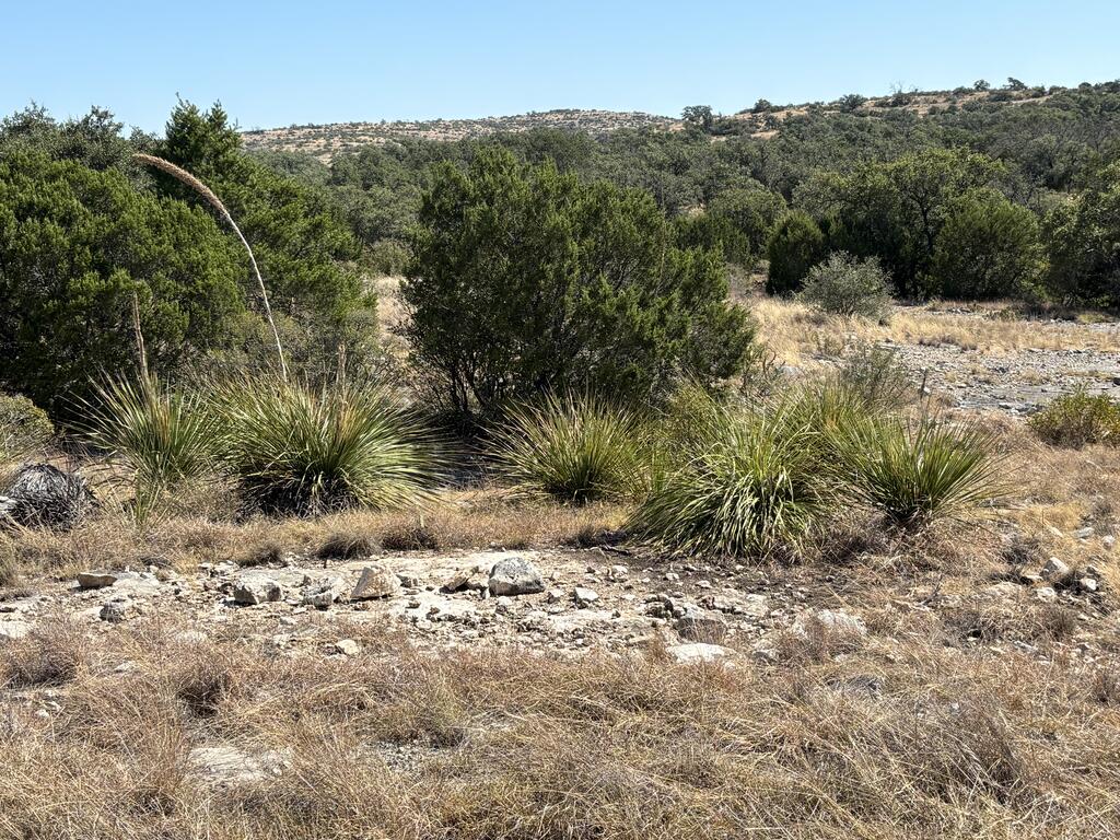 0 Cr 440 Rocksprings Tx 78880 Rocksprings, TX 78880 - Photo 64 of 66 Gallery Image 64