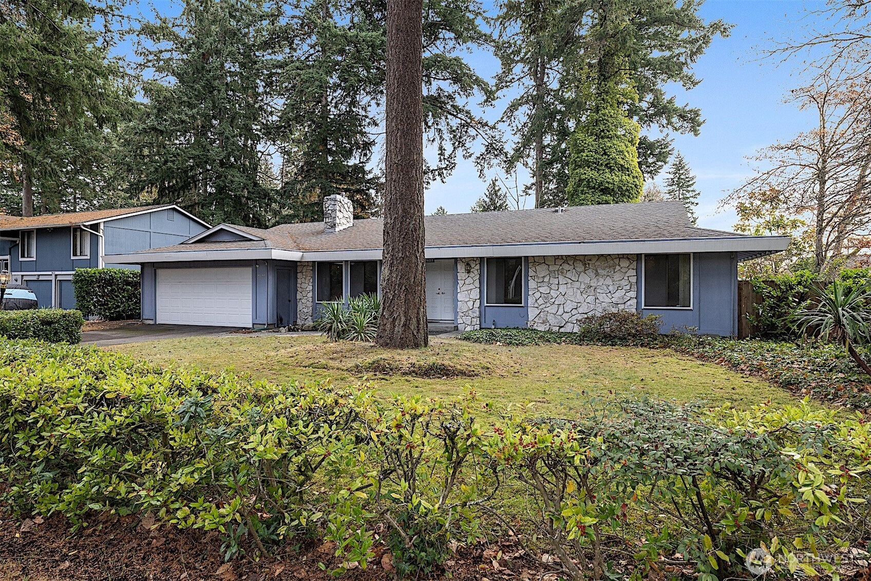 7407 Onyx Drive Southwest Lakewood, WA 98498 - Photo 2 of 40 a view of a house with a yard and large tree