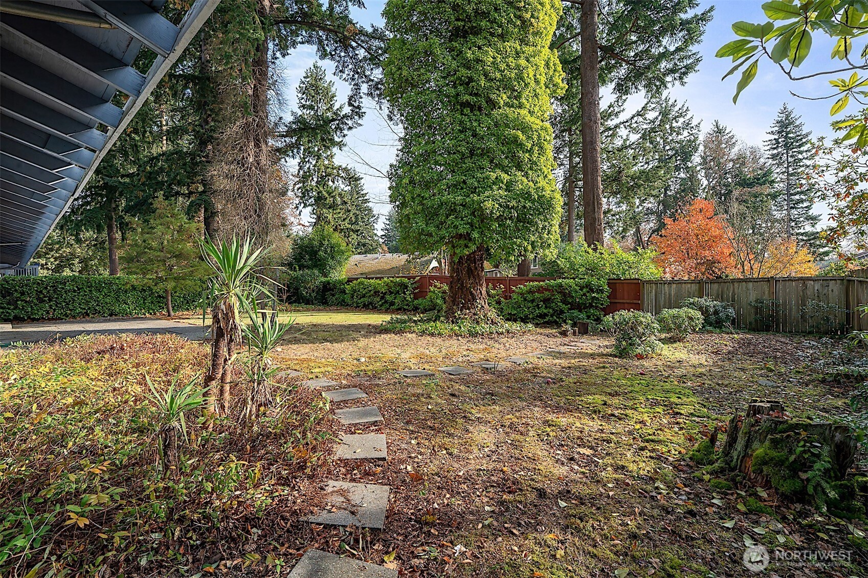 7407 Onyx Drive Southwest Lakewood, WA 98498 - Photo 39 of 40 a view of backyard with tree