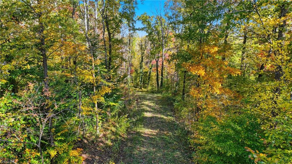 4530 Peeples Road Oak Ridge, NC 27310 - Photo 4 of 20