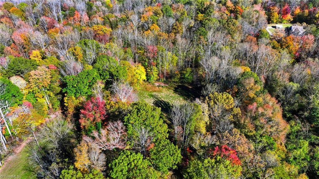 4530 Peeples Road Oak Ridge, NC 27310 - Photo 10 of 20