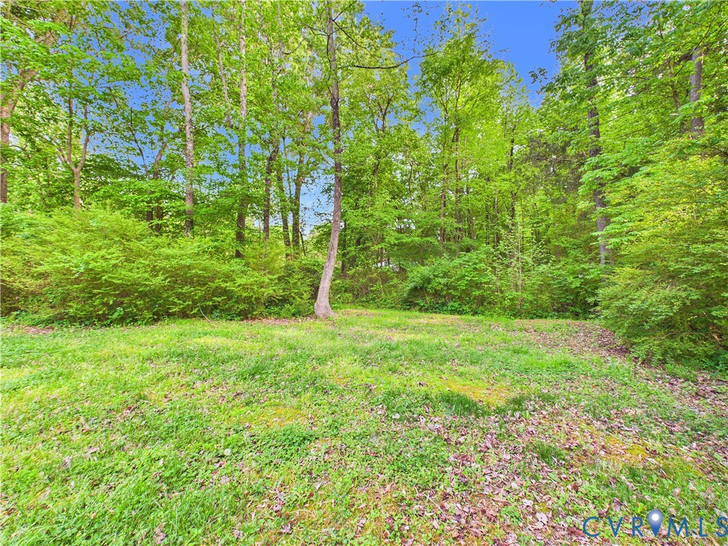 1035 Cole Harbor Road Blackstone, VA 23824 - Photo 35 of 39