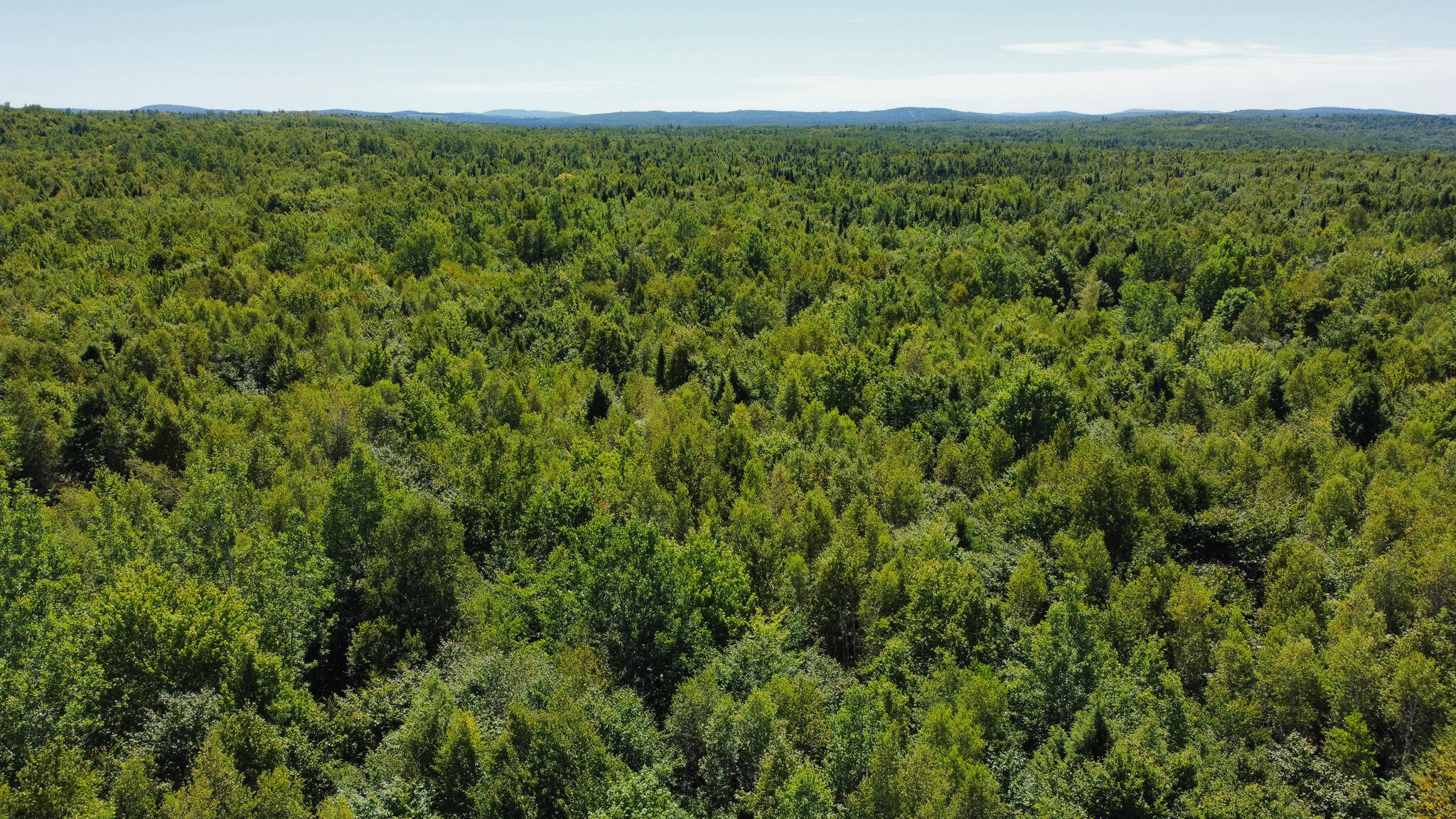 95 Branch Road Wells, ME 04090 - Photo 3 of 23 3