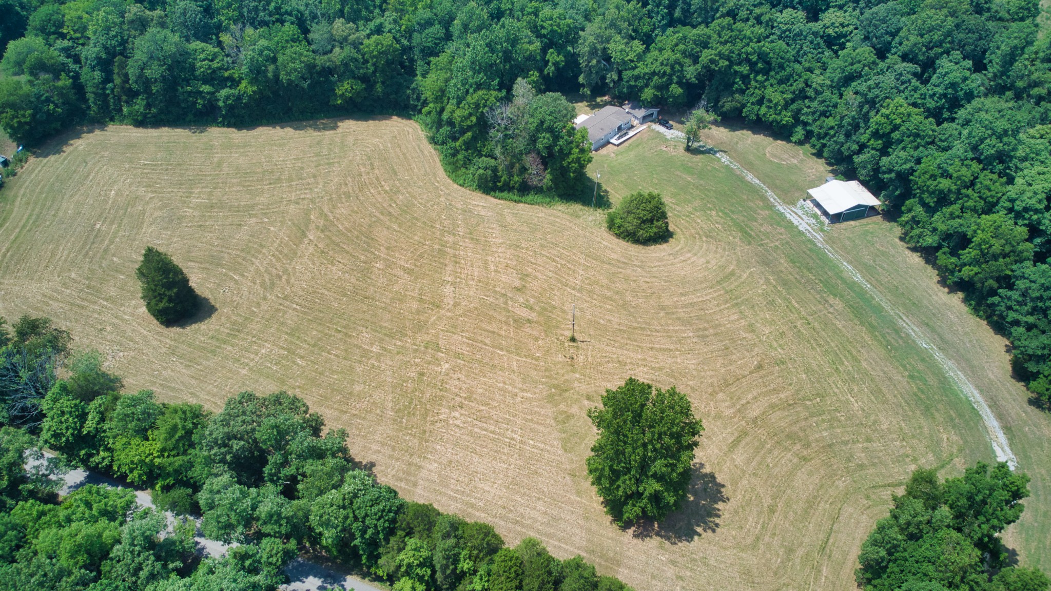 976 Salmon Branch Road Erin, TN 37061 - Photo 3 of 17 Gallery Image 3