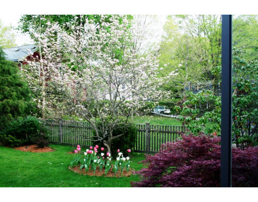 18 Hamilton Road Lexington, MA 02420 - Photo 5 of 12 Gallery Image 5