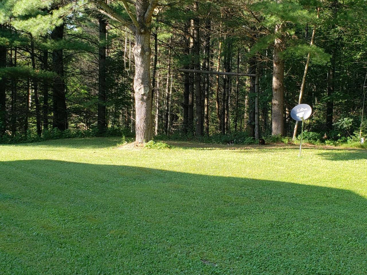 10311 Ison Road Crandon, WI 54520 - Photo 12 of 43 Gallery Image 12