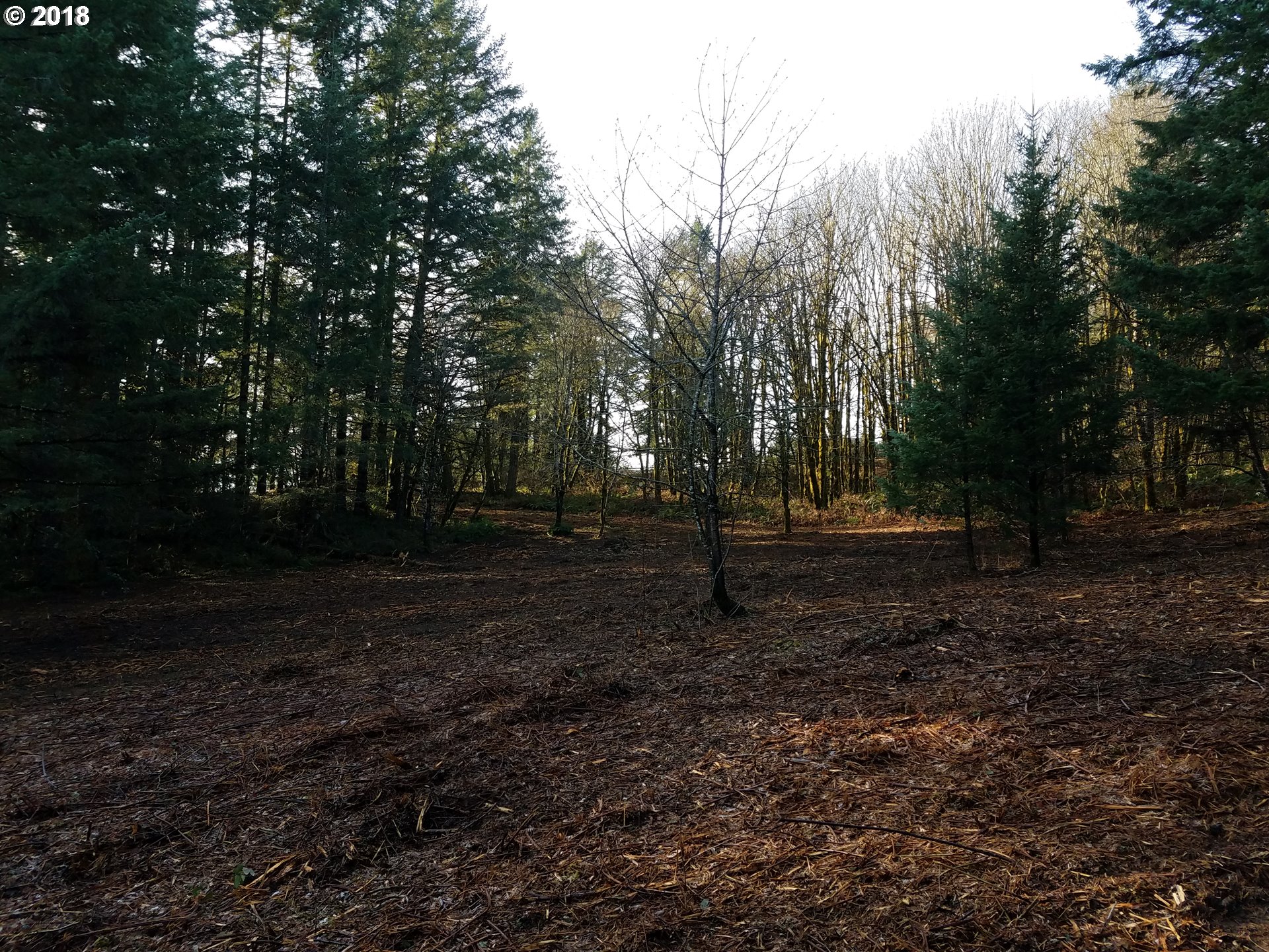 Midland Road Gaston, OR 97119 - Photo 12 of 19 a view of outdoor space with trees