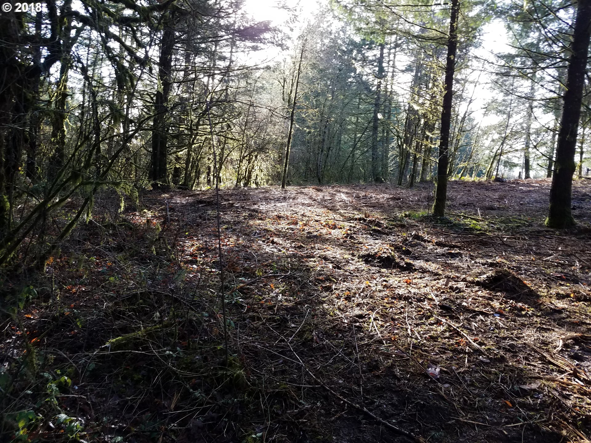Midland Road Gaston, OR 97119 - Photo 18 of 19 a view of outdoor space and trees