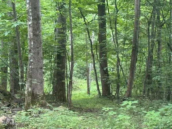 $150,000 | Tbd Tbd Sugar Loaf Mountain Road, Marshall, NC 28753