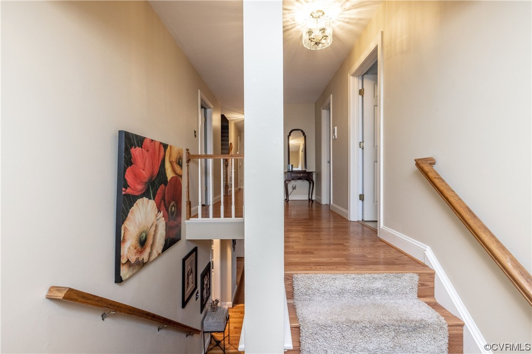 14220 Chimney House Road Midlothian, VA 23112 - Photo 25 of 50 Gallery Image 25