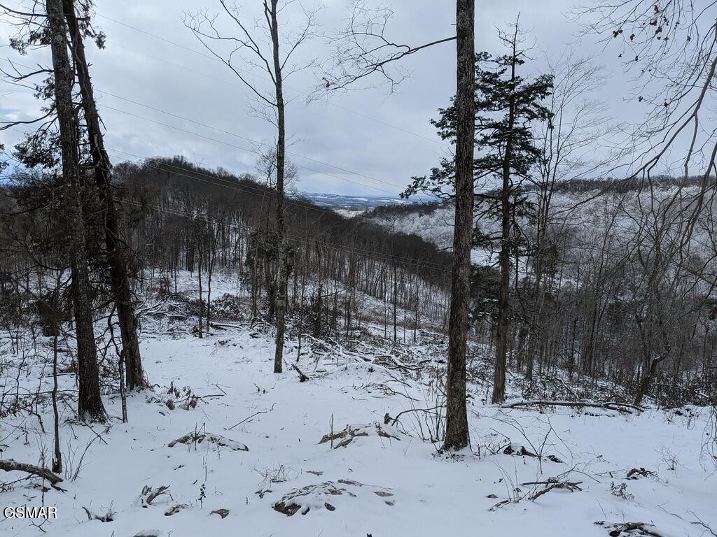 1820 Babbs Mill Road Afton, TN 37616 - Photo 62 of 64 Gallery Image 62