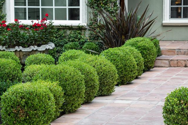 a view of flower garden with wooden fence