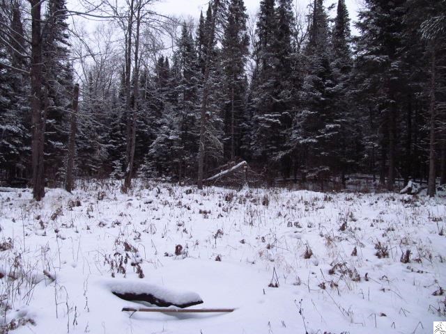 7875 Randall Road Cotton, MN 55724 - Photo 3 of 6 Gallery Image 3
