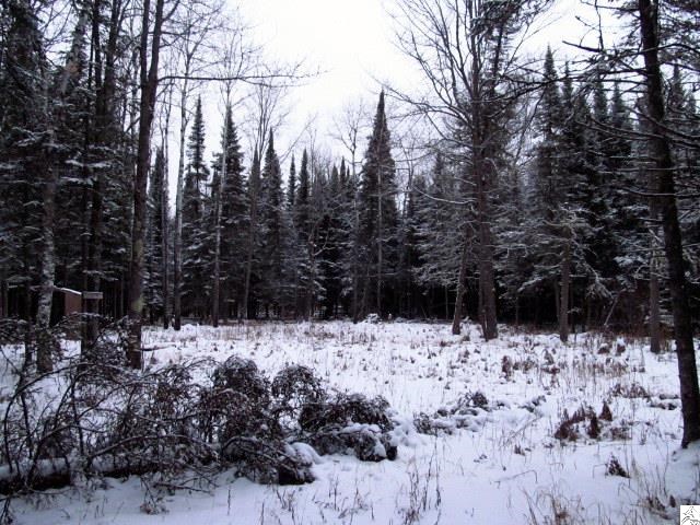 7875 Randall Road Cotton, MN 55724 - Photo 4 of 6 Gallery Image 4