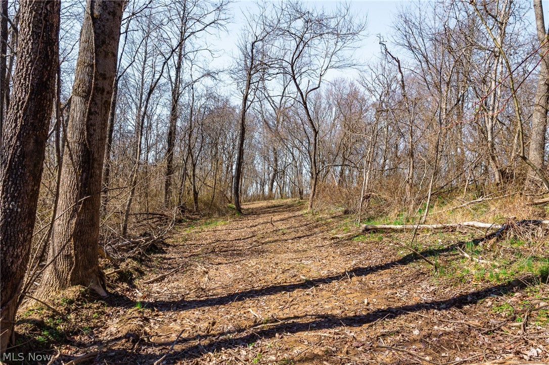 Sheepskin Ridge Road Lower Salem, OH 45745 - Photo 28 of 50 Gallery Image 28