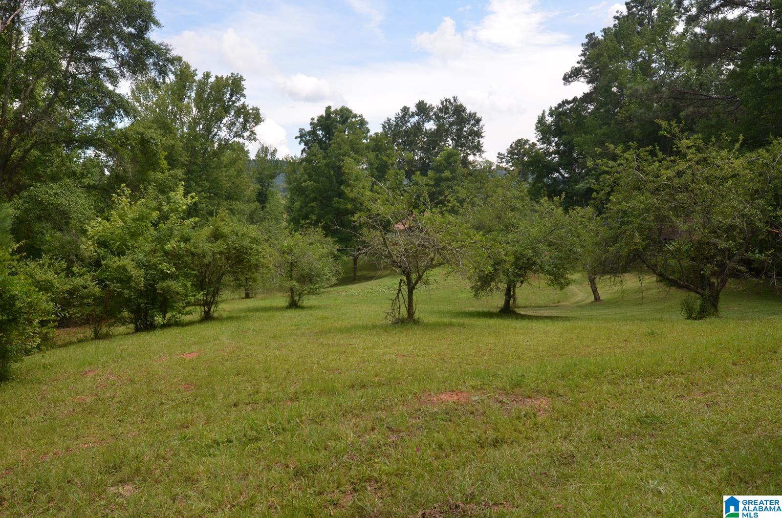 12691 Highway 46 Heflin, AL 36264 - Photo 31 of 63