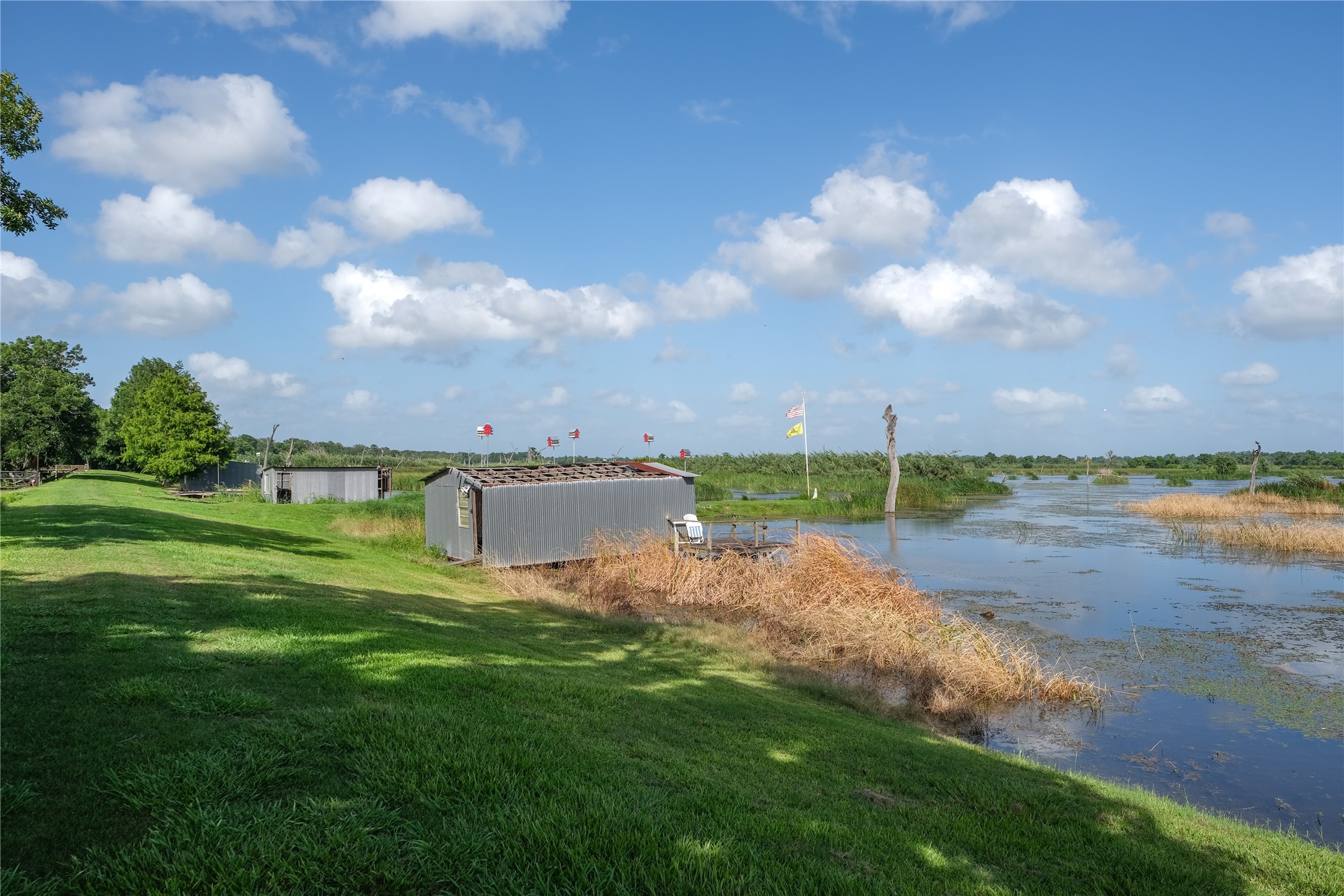 29523 County Road 25 Damon, TX 77430 - Photo 29 of 42 Lake View 1
