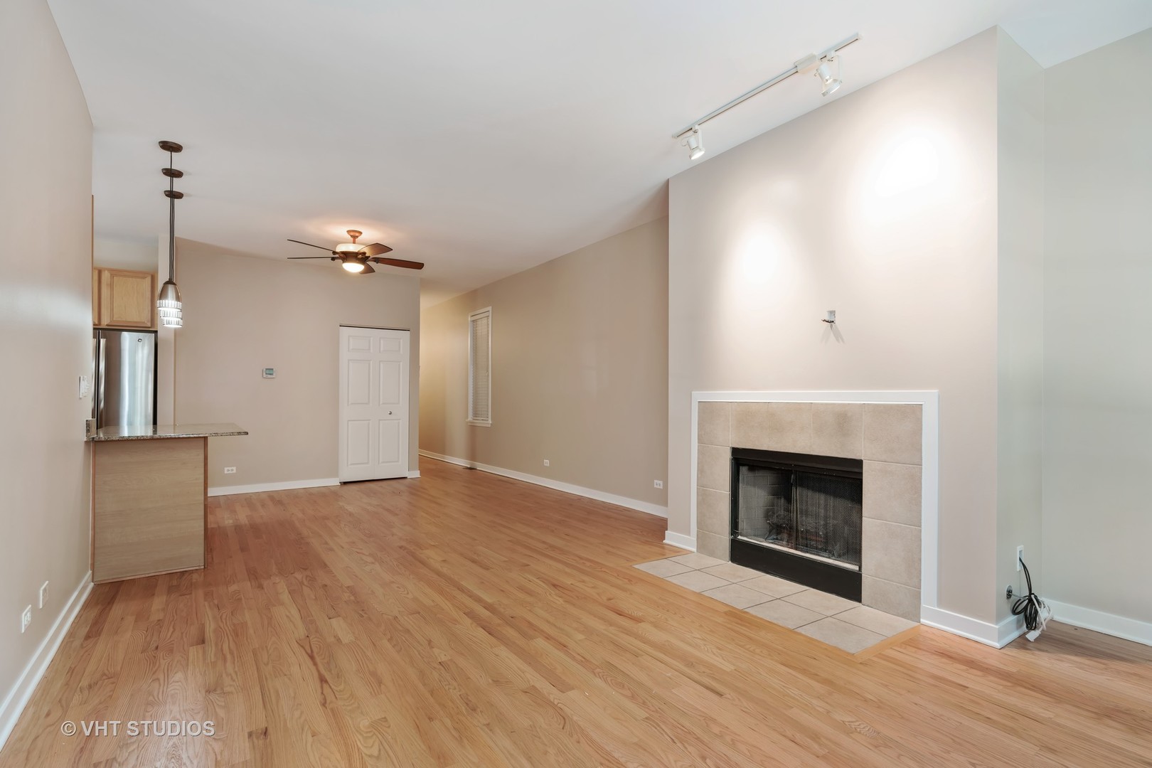 1325 West Fillmore Street, Unit A Chicago, IL 60607 - Photo 4 of 12