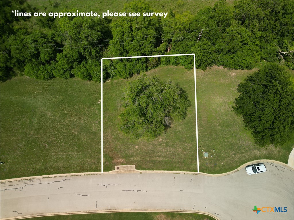 a small garden is sitting in the middle of a park