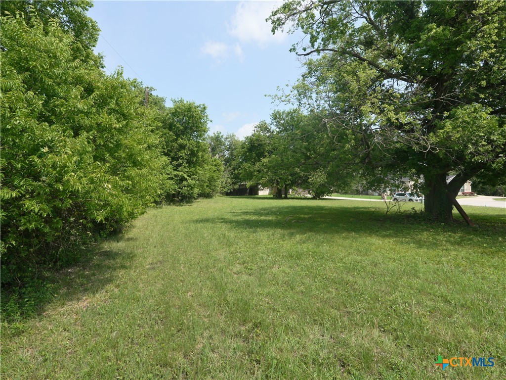 1916 Friars Grove Drive Temple, TX 76502 - Photo 11 of 12