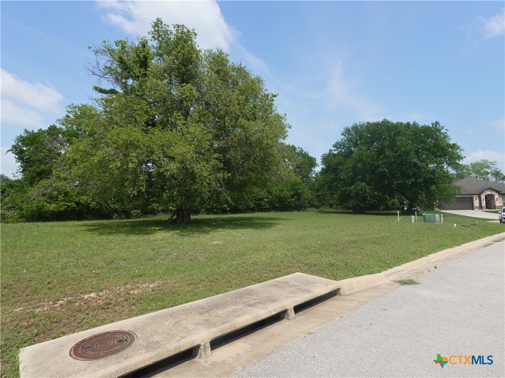 1916 Friars Grove Drive Temple, TX 76502 - Photo 3 of 12