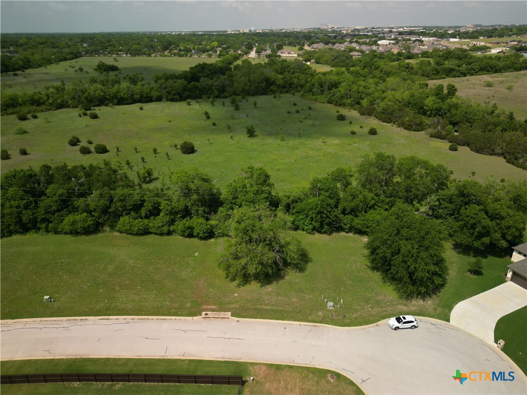 1916 Friars Grove Drive Temple, TX 76502 - Photo 7 of 12