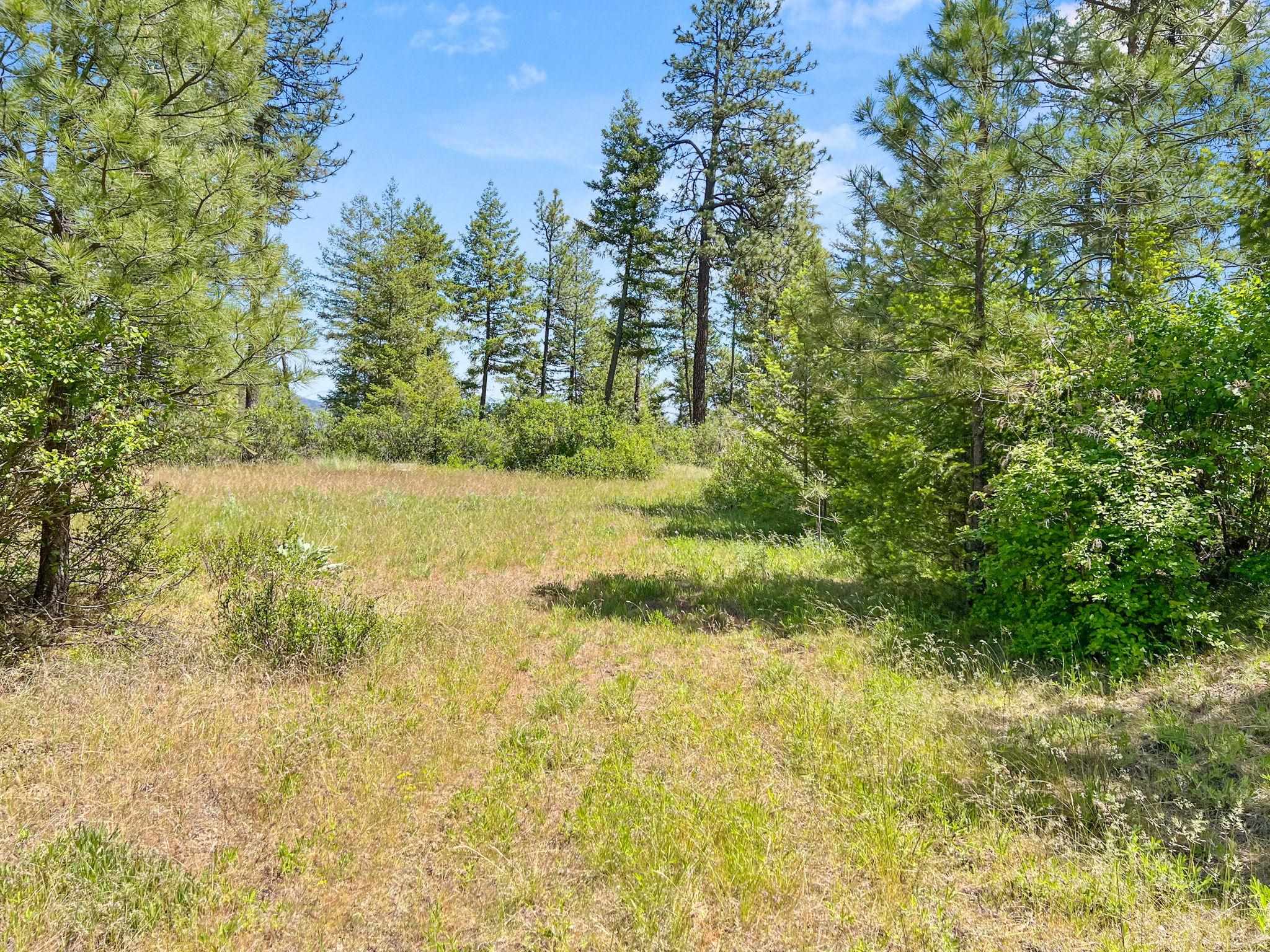 0 West Highland Road Ford, WA 99013 - Photo 29 of 41