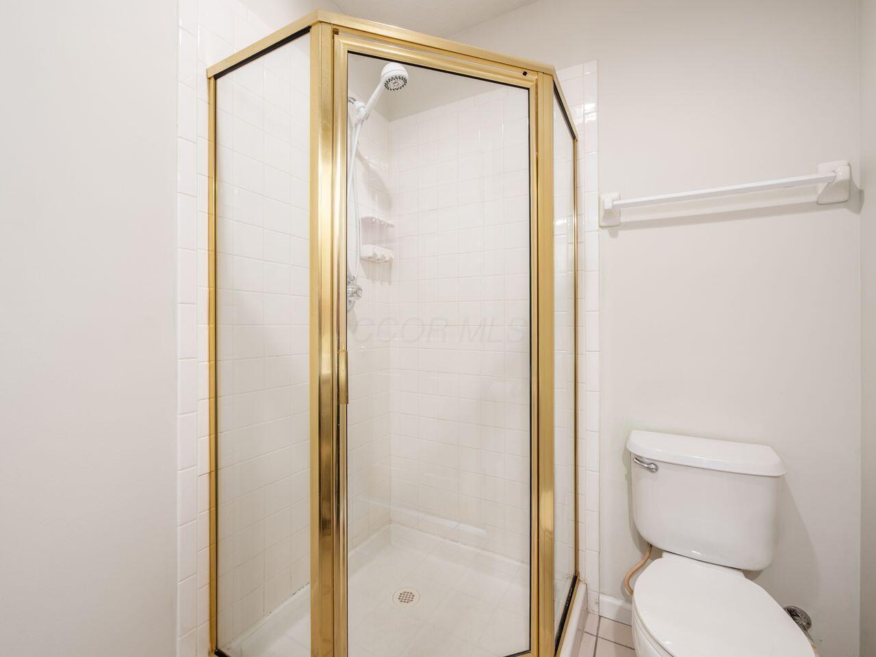 163 Collier Ridge Drive Columbus, OH 43235 - Photo 27 of 36 Shower