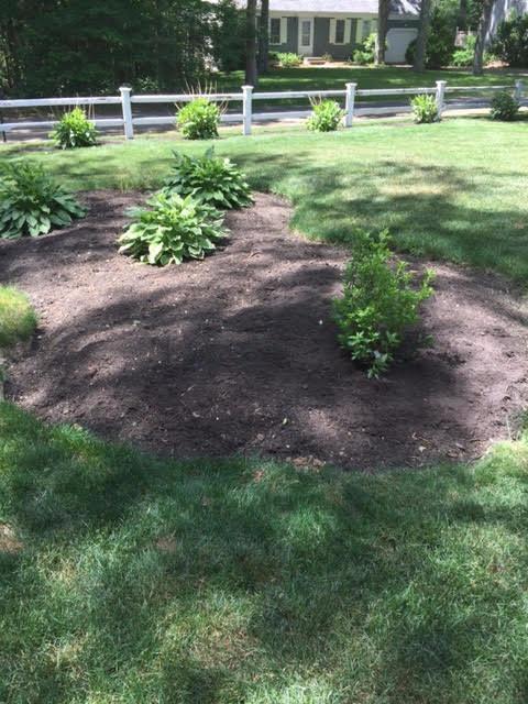 64 Edgewater Road Mashpee, MA 02649 - Photo 18 of 18 a view of outdoor space with garden and trees