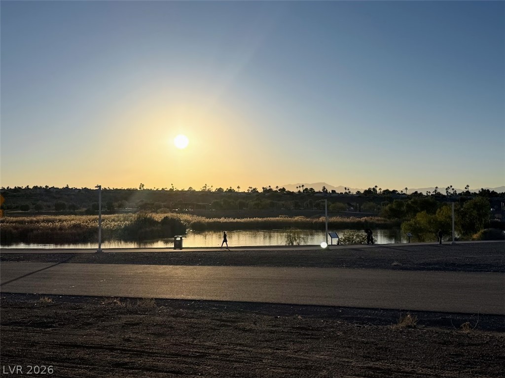 155 Fulgora Street Henderson, NV 89074 - Photo 25 of 26