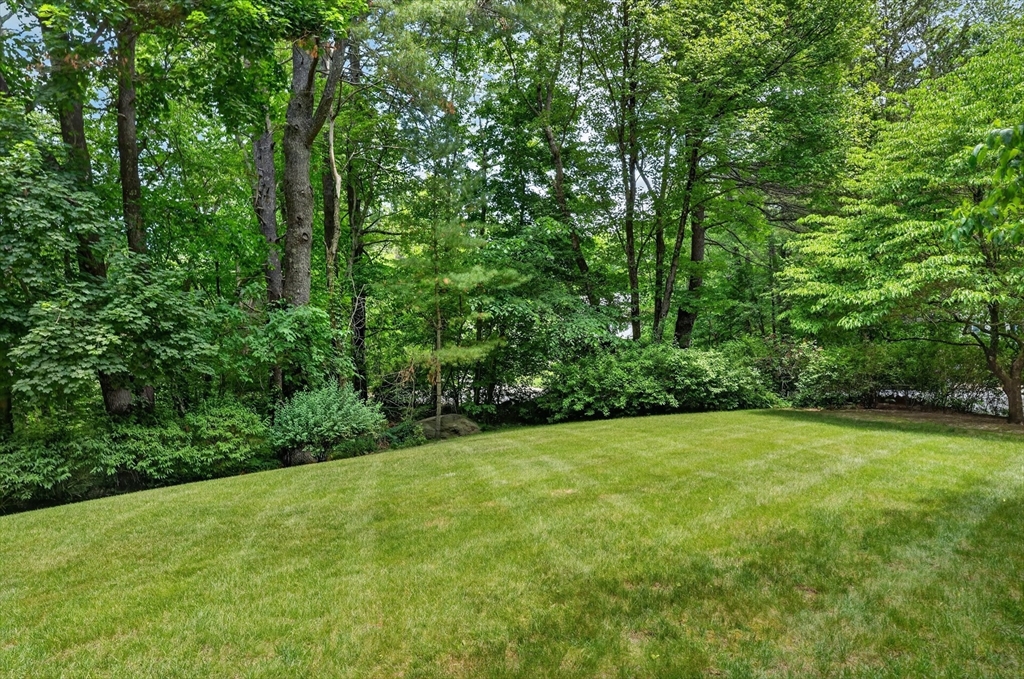 17 Maplewood Road Medfield, MA 02052 - Photo 39 of 41