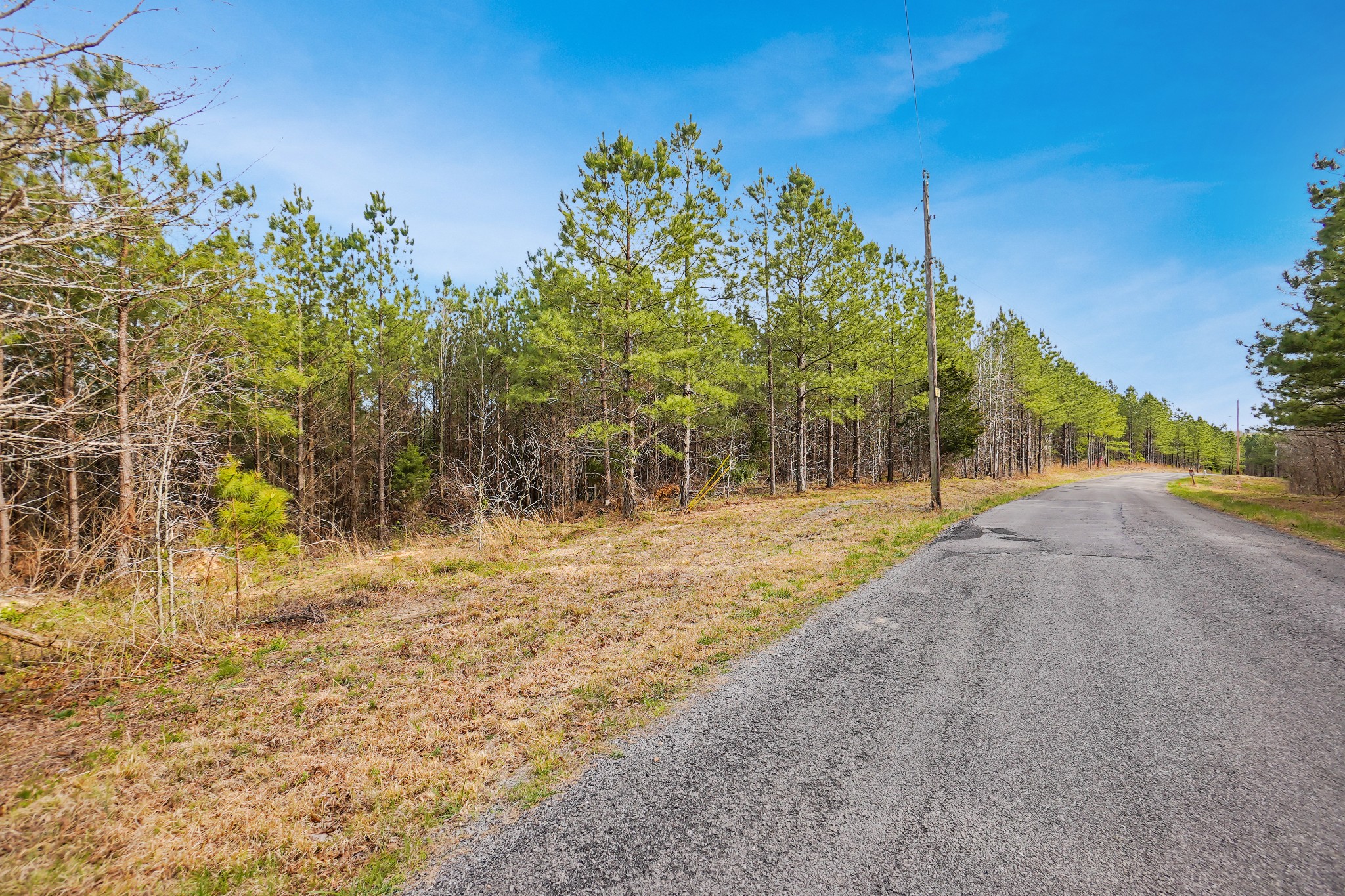 18 Ribbon Branch Road Dover, TN 37058 - Photo 2 of 12 Gallery Image 2